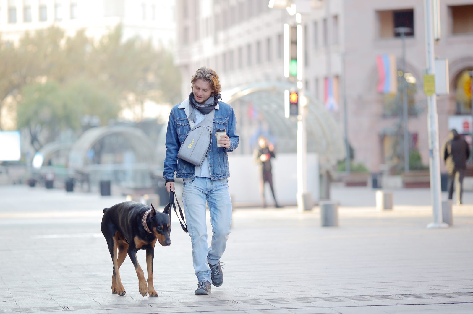 SixWalker Sling worn on a dog walk